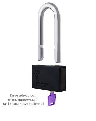 Замок навесной MUL-T-LOCK M13/C2 ClassicPro 4867 2KEY DND3D PURPLE INS R shackle 58мм 12,7мм BOX M, Навесной замок